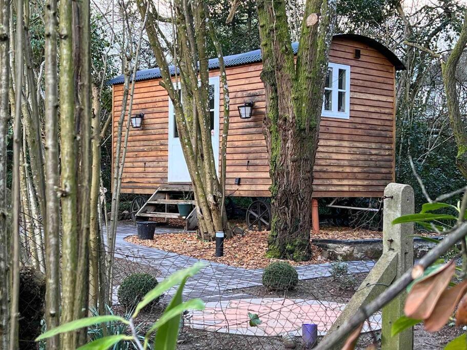 Tranquil Spot Shepherds Hut Cinderford Екстер'єр фото